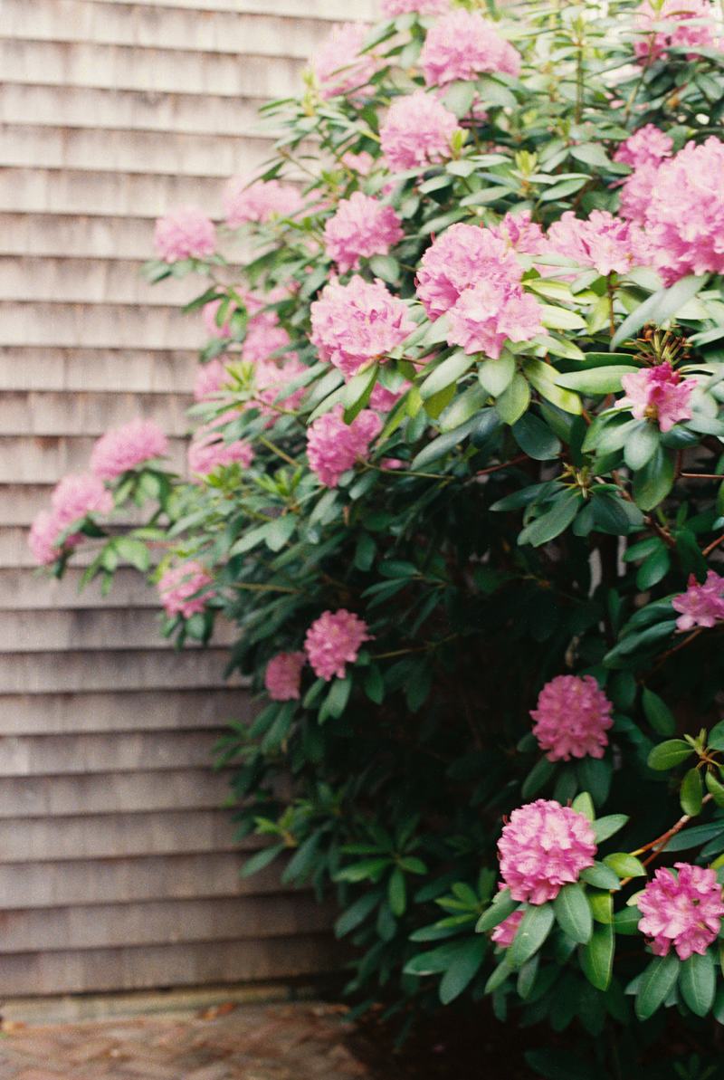 Sarah & Molly Nantucket 25