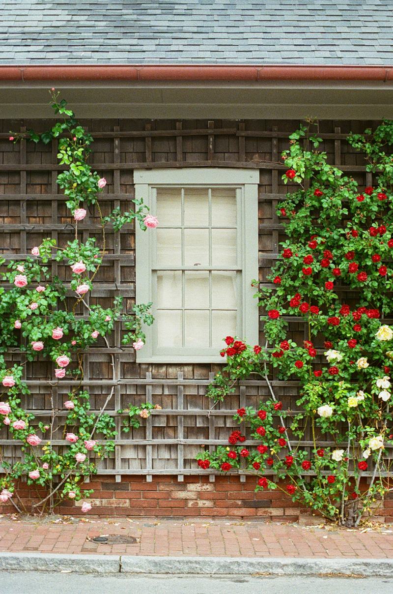 Sarah & Molly Nantucket 25