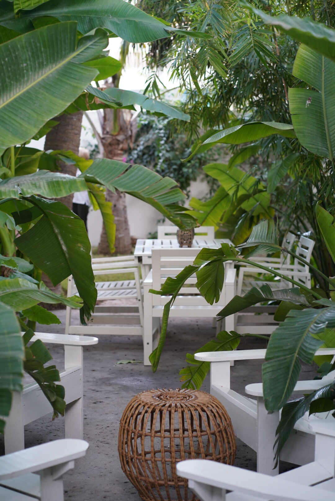 beautiful harbour island rental