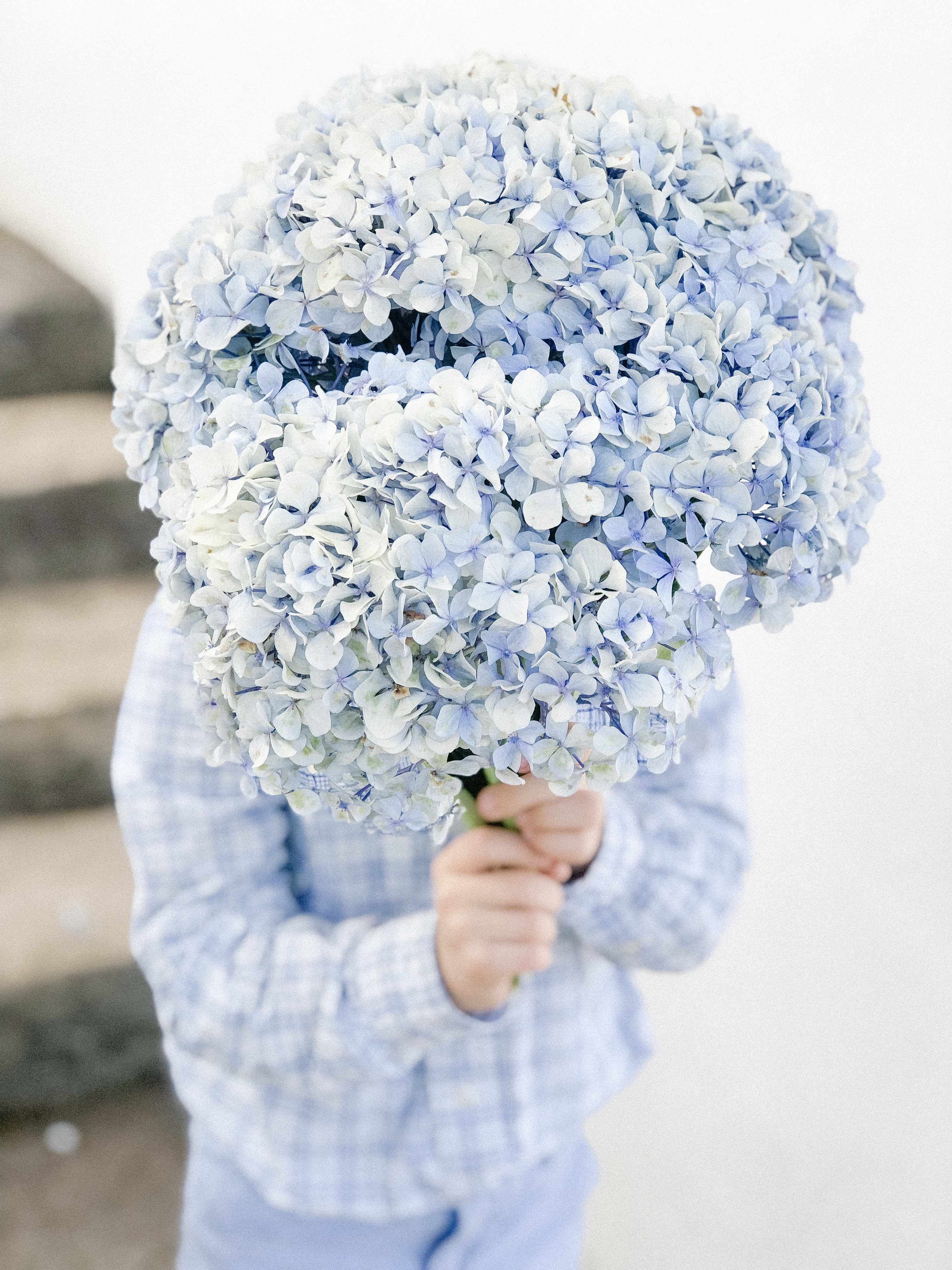 casa cielo grande alajuela