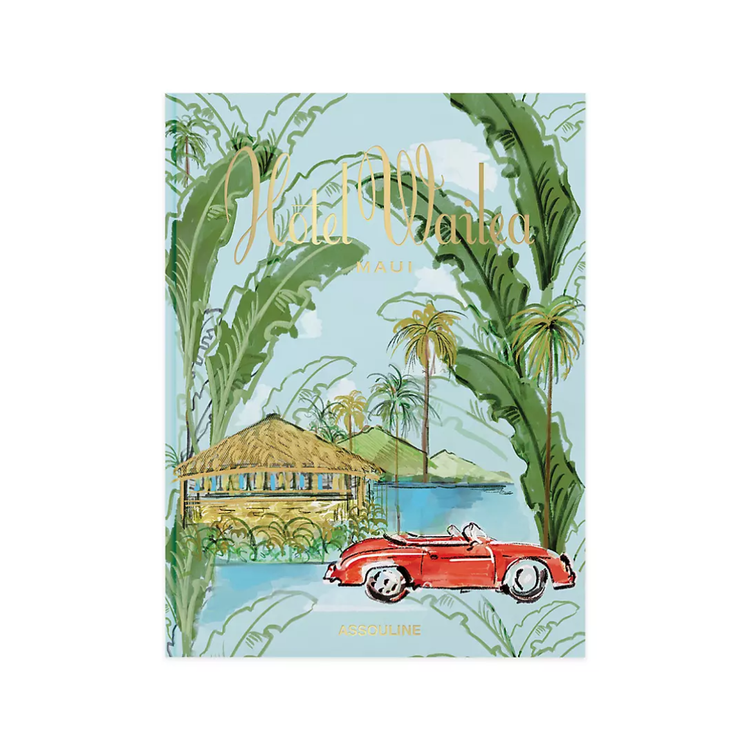 travel books, travel coffee table book