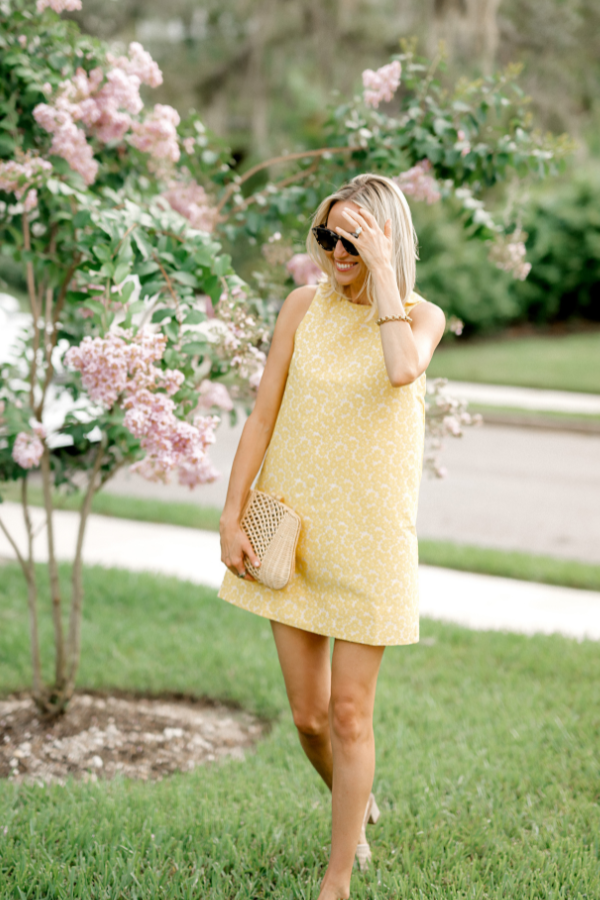 crepe myrtle blooming