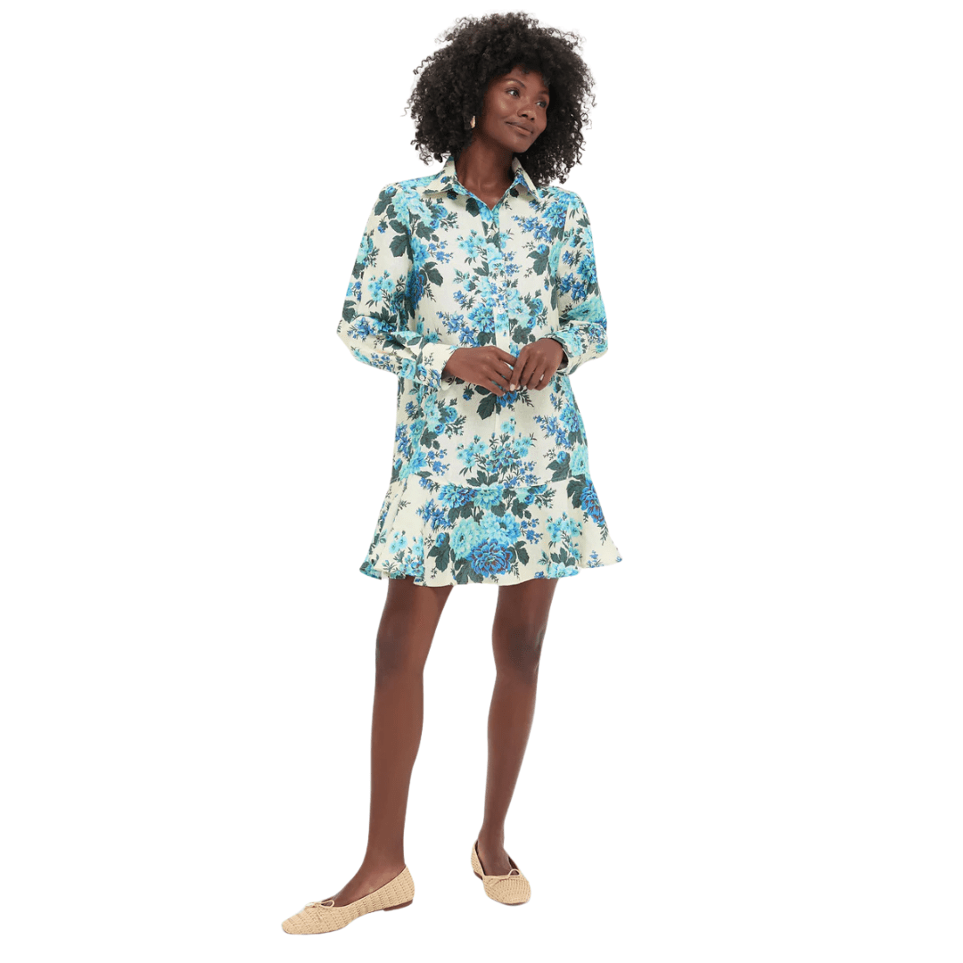 floral Callahan dress, Tuckernuck blue floral dress, blue floral mini dress