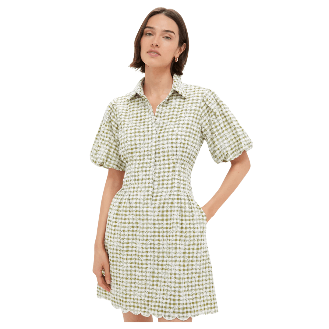 Tuckernuck gingham Delaney dress, gingham mini dress, puff sleeve gingham dress